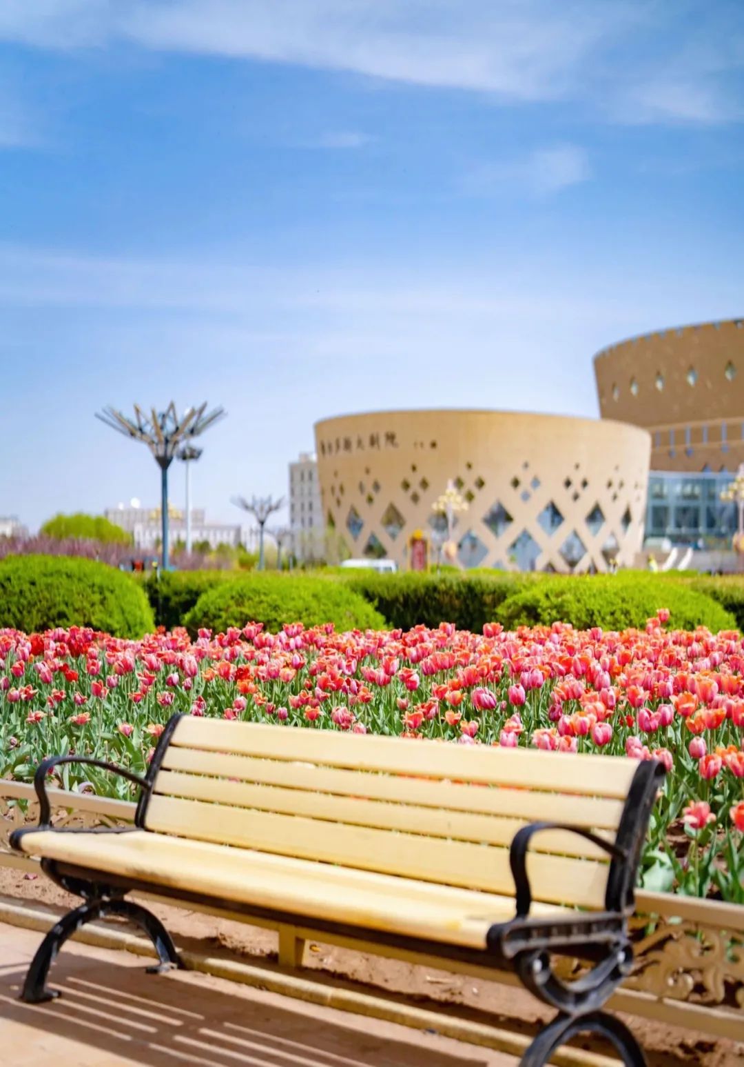 首先你要快乐，其次都是其次。