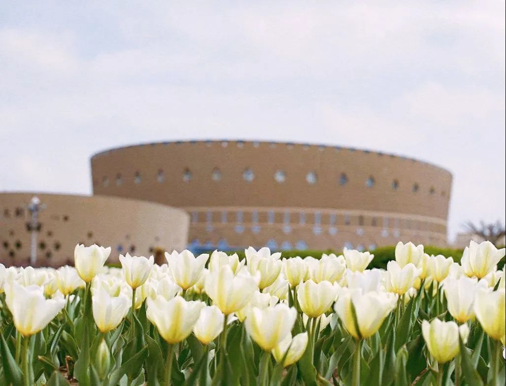 首先你要快乐，其次都是其次。