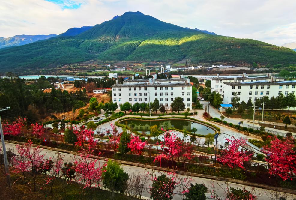 从金江镇小学看迪庆温馨如家的寄宿制学校