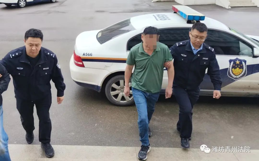 历史被执行人是执行完毕了吗（被执行人 历史被执行人） 第2张