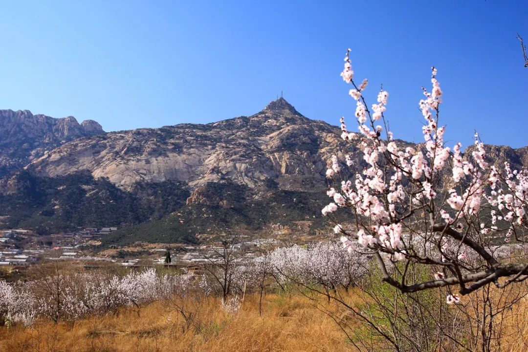 昌黎之魅 | 千古神岳碣石山_澎湃号·政务_澎湃新闻-the paper