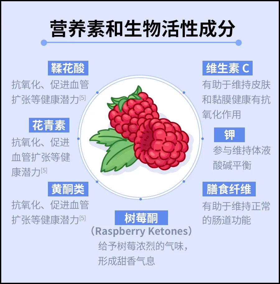 黄酮类、花青素等生物活性物质，给予树莓充足的「抗炎抗氧化效应」[9]。