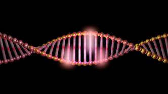 靶向单个分子的DNA酶让基因“沉默”