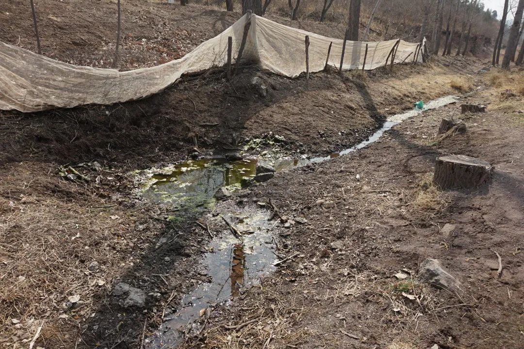 密法·环境资源审判丨农药残余污染水源 致死牲畜损害担责