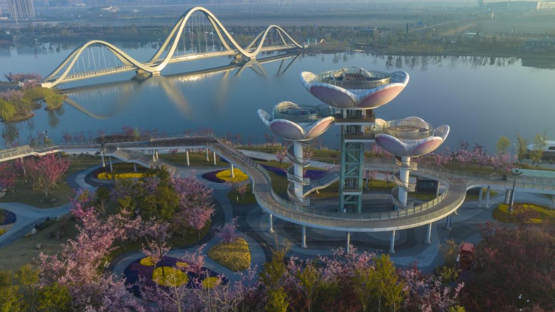 盐南这两个地方全国都在看