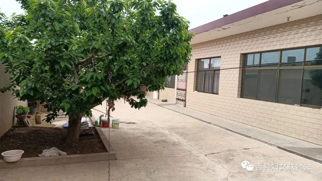 【宜居靓家园 健康新吉县】吉县美丽庭院示范户——吉昌镇上东村白栓