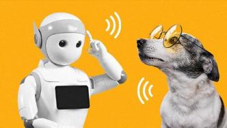 AI能实现人与动物的交流吗？