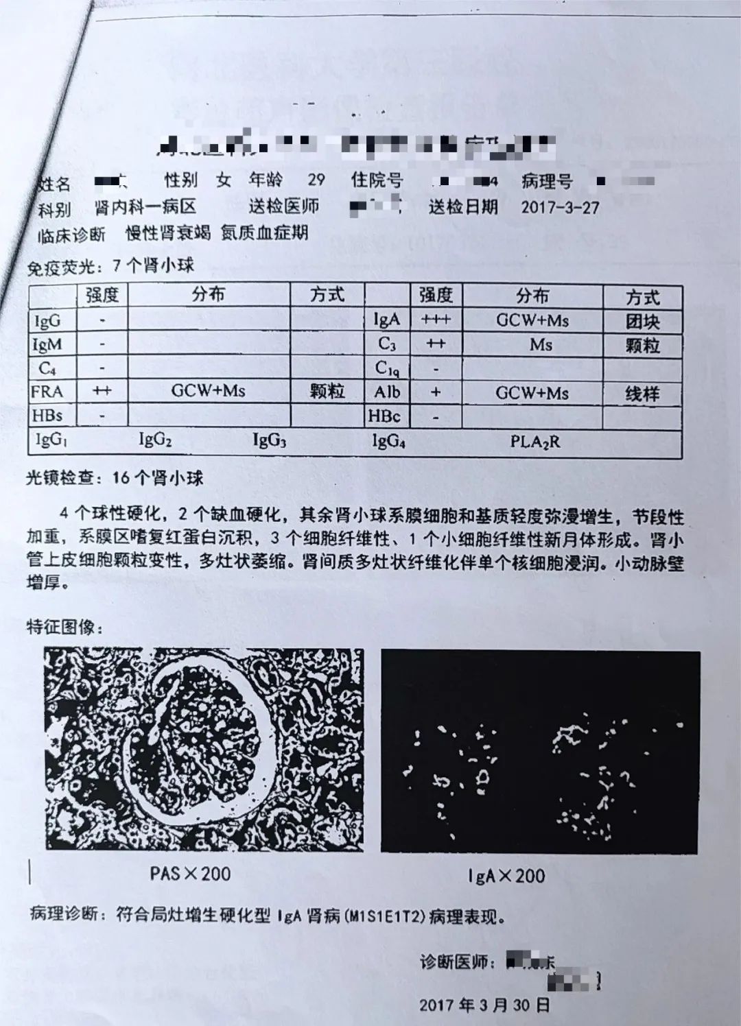 肾衰竭诊断书图片