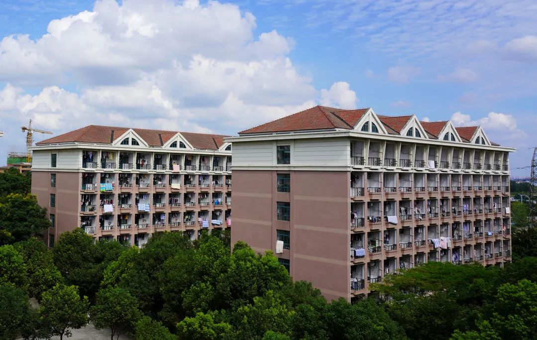 澎湃号·政务_澎湃新闻-the paper