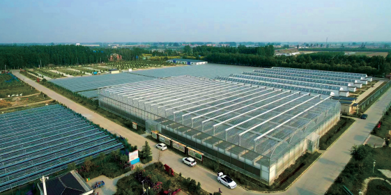 点亮璀璨五星引领乡村振兴记第十四届全国人大代表河南省中牟县官渡镇