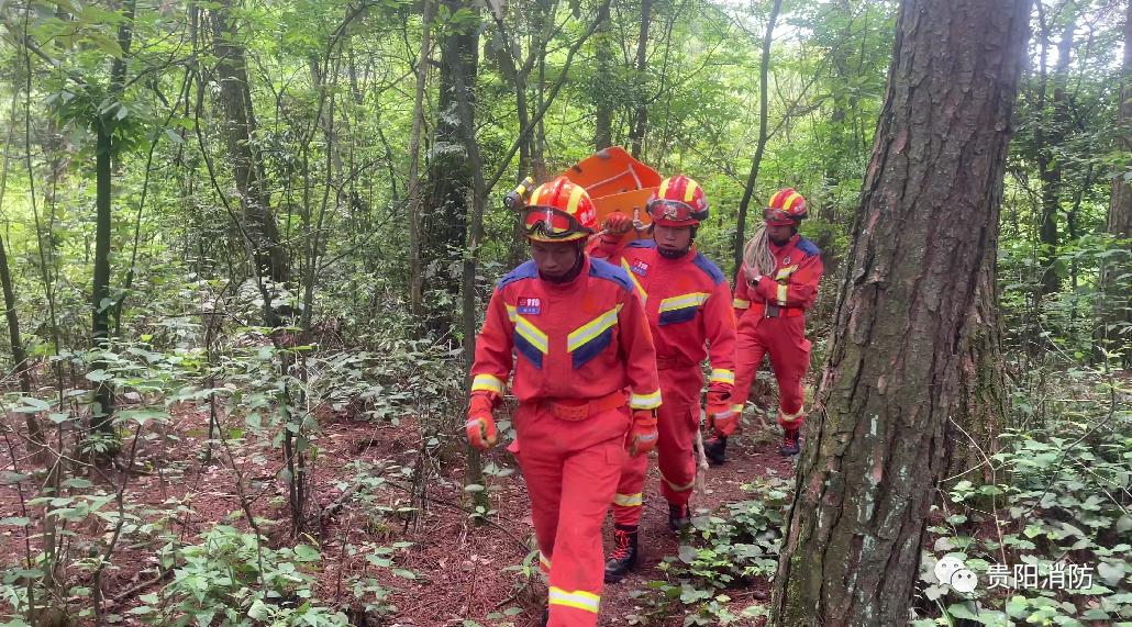 男子上山挖笋不慎骨折,消防徒步进山救援