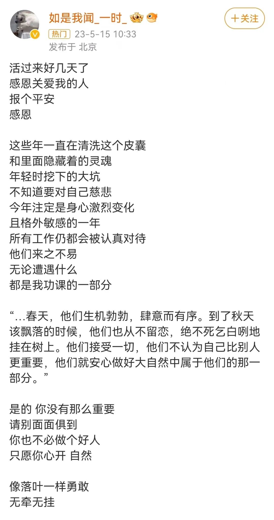 缺钱的朴树，大病一场