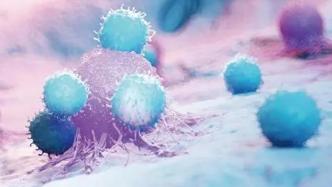 T细胞能“自己激活自己”对抗肿瘤