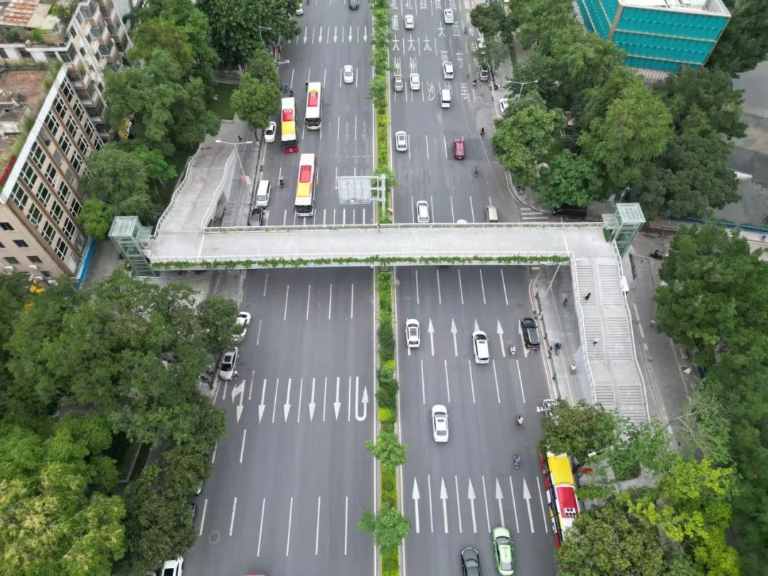 你每天匆忙走过的天桥，其实是广州最佳的观景台 - 知乎
