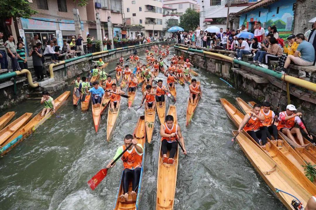 佛山疊滘又飆飆飆飆龍船_澎湃號·政務_澎湃新聞-the paper