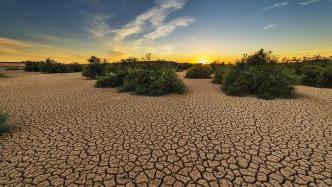 绿会《全球生物多样性治理前沿研究：构建干旱区生命共同体》入选《2022年度科协工作调研报告汇编》