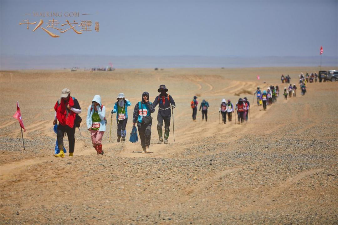【行走敦煌】第十三届千人走戈壁勇士凯旋,敦煌四天三夜行走108公里