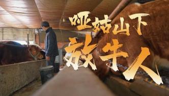 中國電信將網絡鋪進秦嶺啞姑山，助力村民跨越“信息鴻溝”巧增收