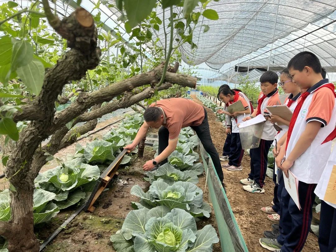 潍坊希望美校_山东牧校潍坊校区_潍坊希望美术学校收费