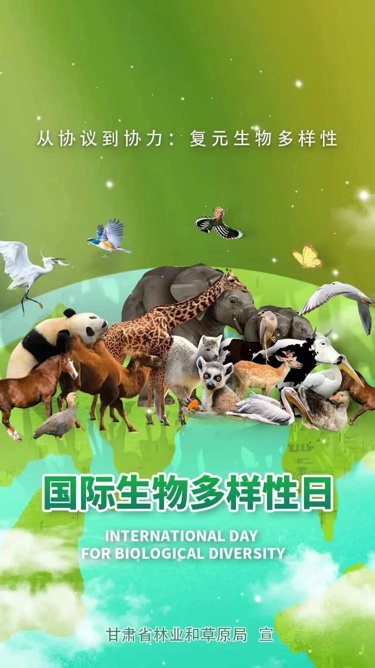 海报 | 国际生物多样性日