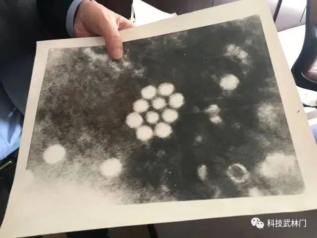 沉痛悼念周干峙先生逝世_著名数学家王元院士逝世_毛江森院士逝世