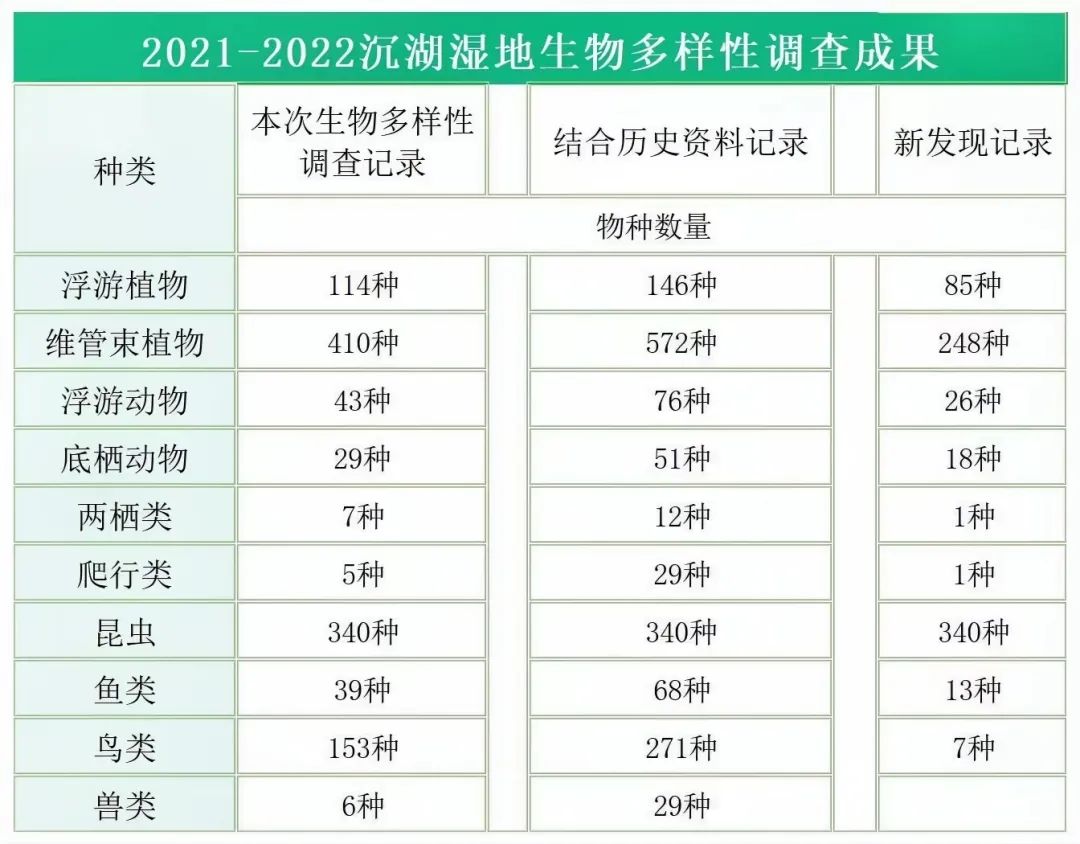 【聚焦】武汉新发现739个物种！