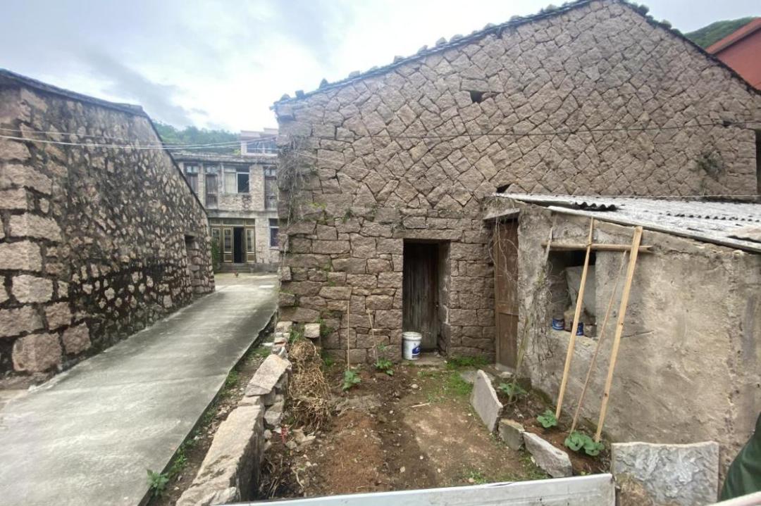 巾帼共创丨洞头区大门镇"一米菜园"大变身 助力和美乡村建设_澎湃号