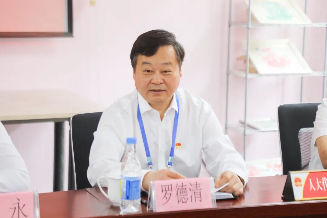 区委书记罗德清参加人大代表接待选民日活动_澎湃号·政务_澎湃新闻