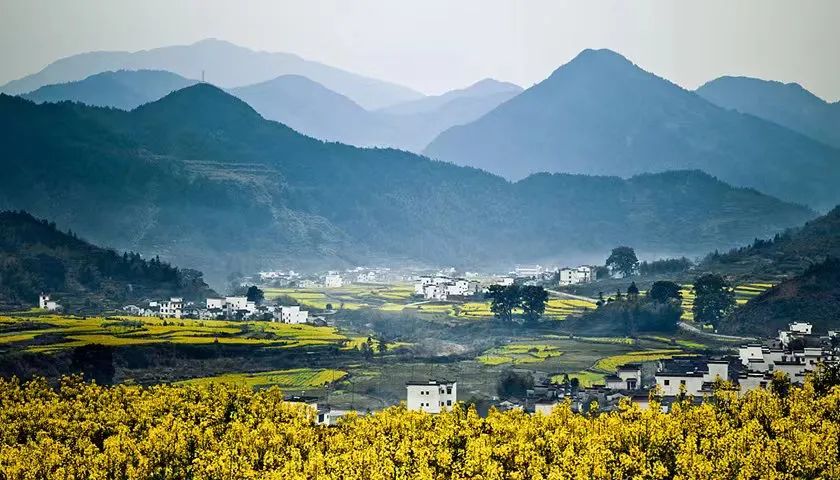 的这一年中,我还陆续跟皮肤科专家喻文球教授,内科专家陈崑山,姚椿龄