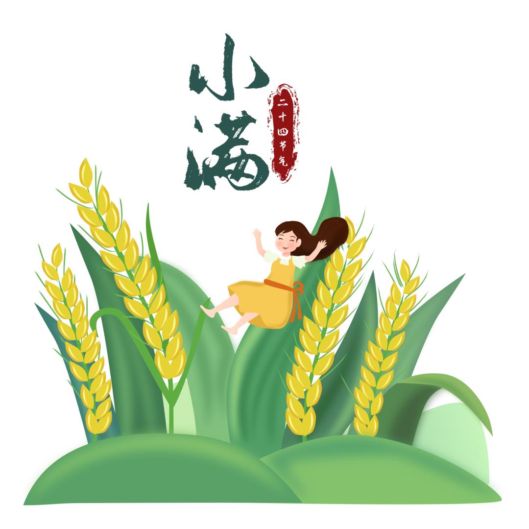 小满丨初夏迎小满 万事皆美满