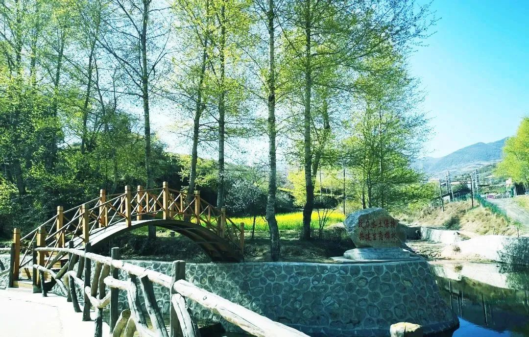避暑就来陇西桦林山,在山泉翠林间尽享清凉时刻!