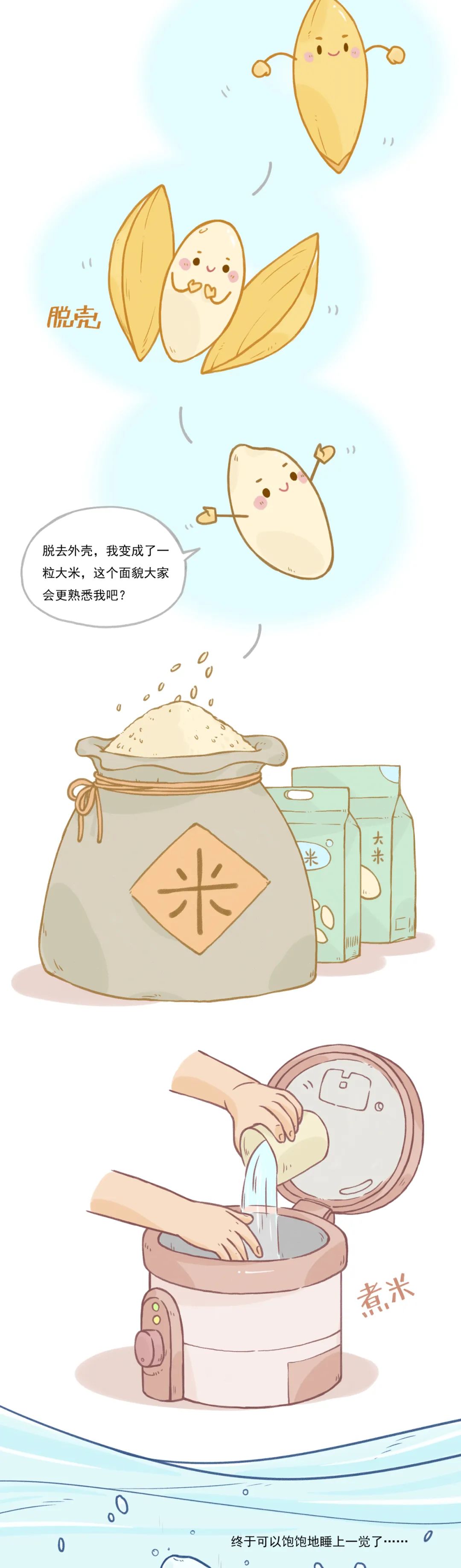 你好,我是杂交稻种子,有话对你说 | 中国攻克杂交水稻难关50周年展