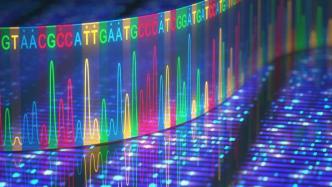 科学家发布新版基因组，关注人类DNA多样性
