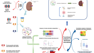 Life Med | 赵超等利用尿液微生物组描绘肾功能减退的特征微生物图谱