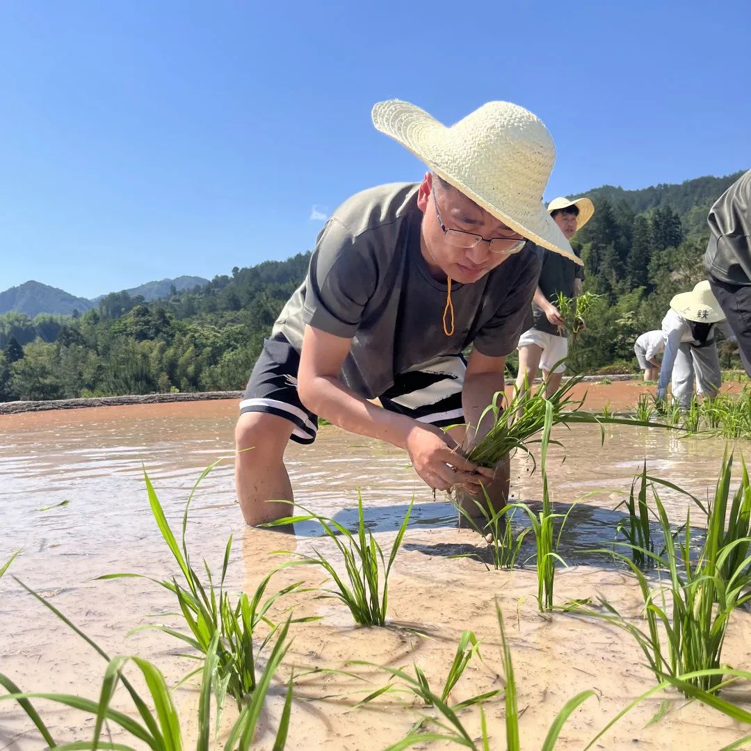 插秧苗,种玉米,挖土豆,大调研……这场跨区域联合青干班有新意