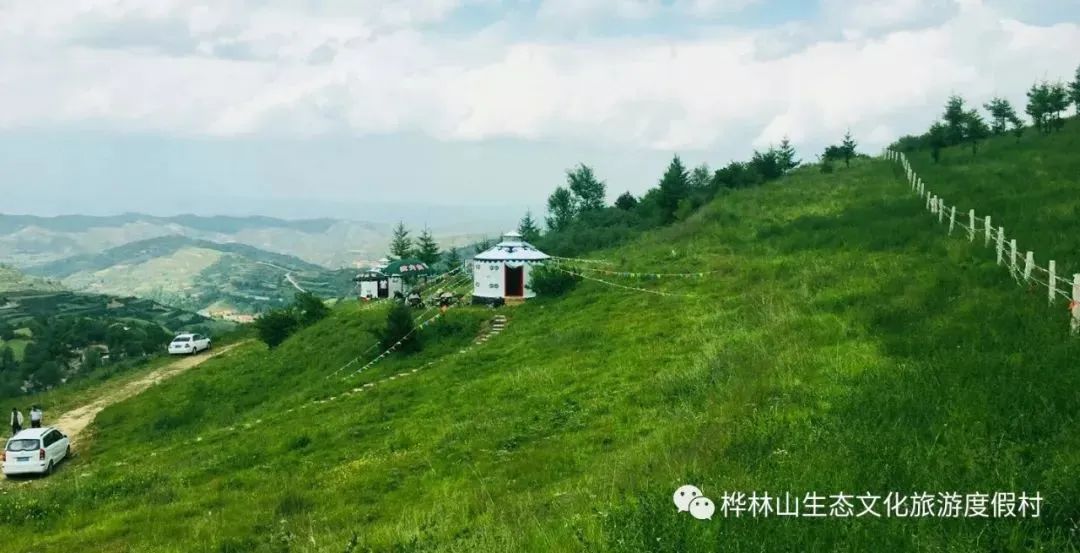 避暑就来陇西桦林山,在山泉翠林间尽享清凉时刻!