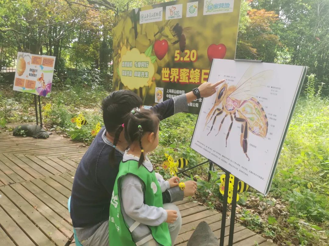 六一溜娃好去处，上海这两家国家青少年自然教育绿色营地了解一下？_澎湃号·政务_澎湃新闻-The Paper