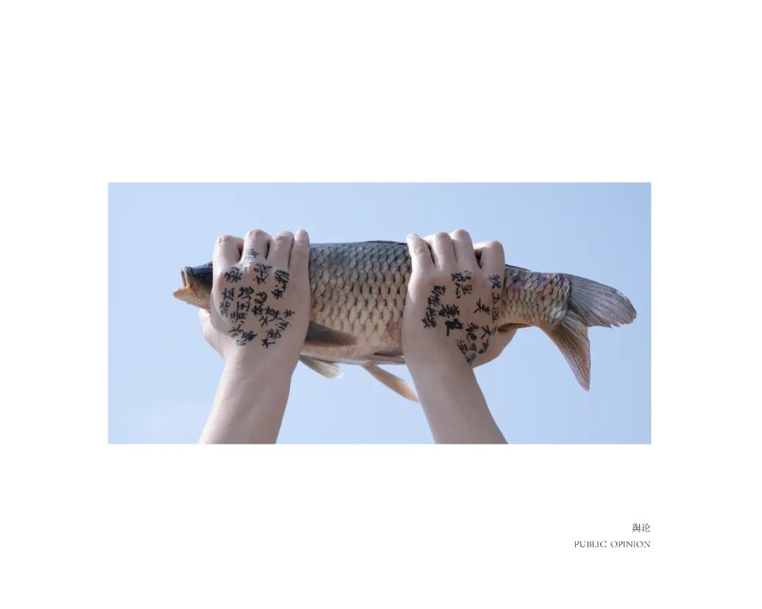 2023毕业季丨王一童:鱼的生存指南_澎湃号·湃客_澎湃新闻-The Paper