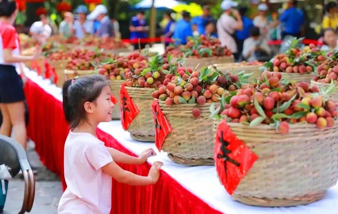 这个周六锁定海口火山口公园,免费吃野生荔枝,赏民俗,学科普!