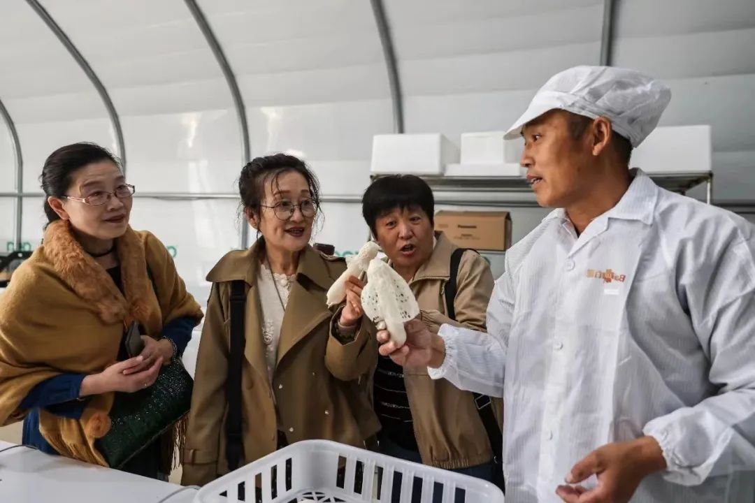 聚焦“三化”，推动农业转型发展