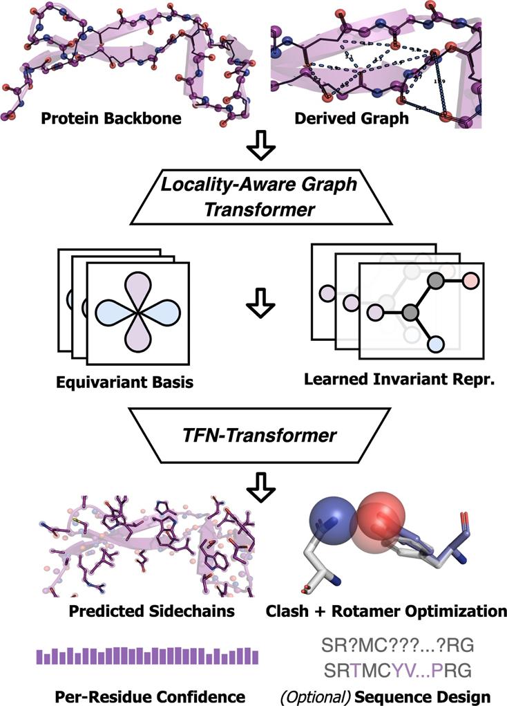 PNAS：全球首创，分子之心开源新AI算法，攻克蛋白质侧链预测与序列设计难题_澎湃号·湃客_澎湃新闻The Paper