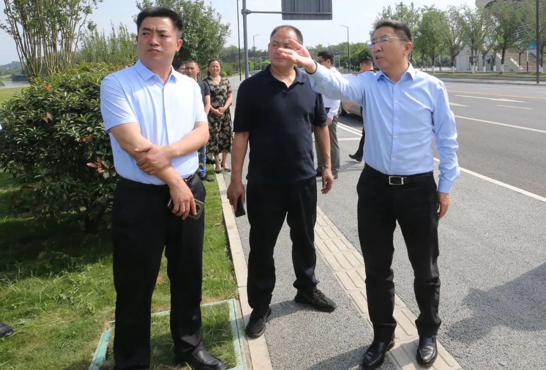 陈历章带队调研大运会场馆周边环境整治及地灾隐患点整治工作_澎湃号