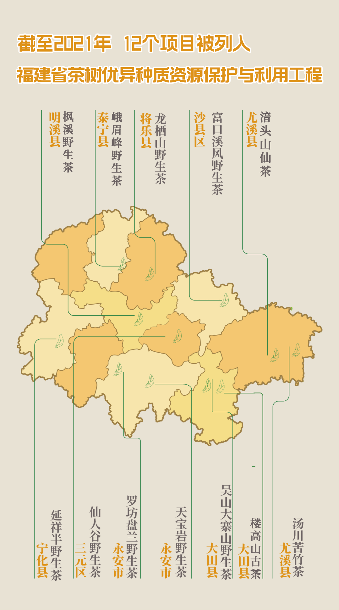 到中国绿都福建三明,品生态好茶_澎湃号·媒体_澎湃新闻-the paper