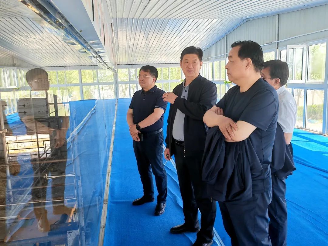 许树德赴润泽智算科技和龙江元盛对接洽谈招商合作