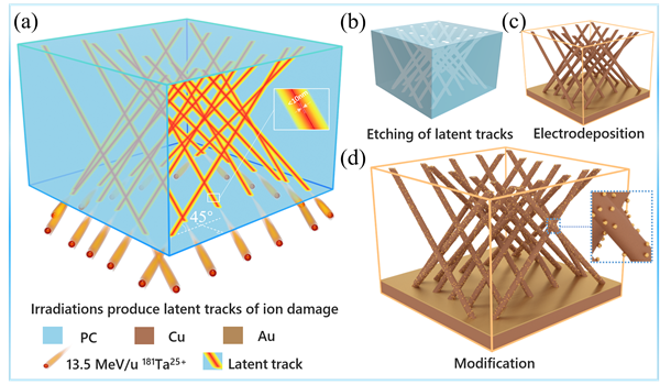科研人员提出新型锂负极框架构型(图2)