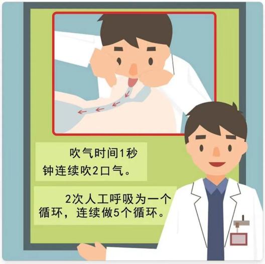 14岁女生心脏骤停_肺复苏应该在什么地方进行_肺复苏的主要措施是
