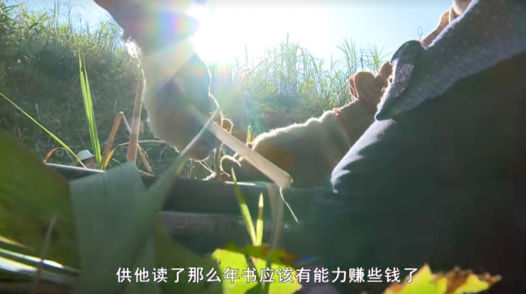 青叶同学请告诉我_同学请大声点阅读答案_唐尚珺放弃考清华