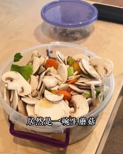 致富经养兔_致富养兔子_致富经兔子养殖