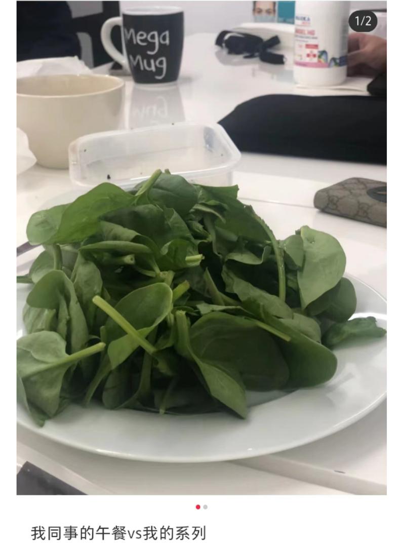 致富养兔子_致富经养兔_致富经兔子养殖