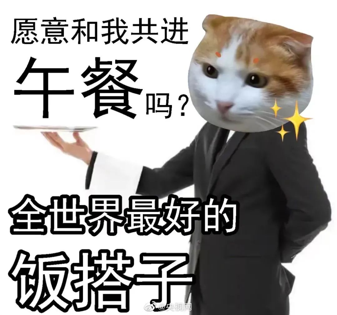 安能人的"搭子",主打一个安心陪伴